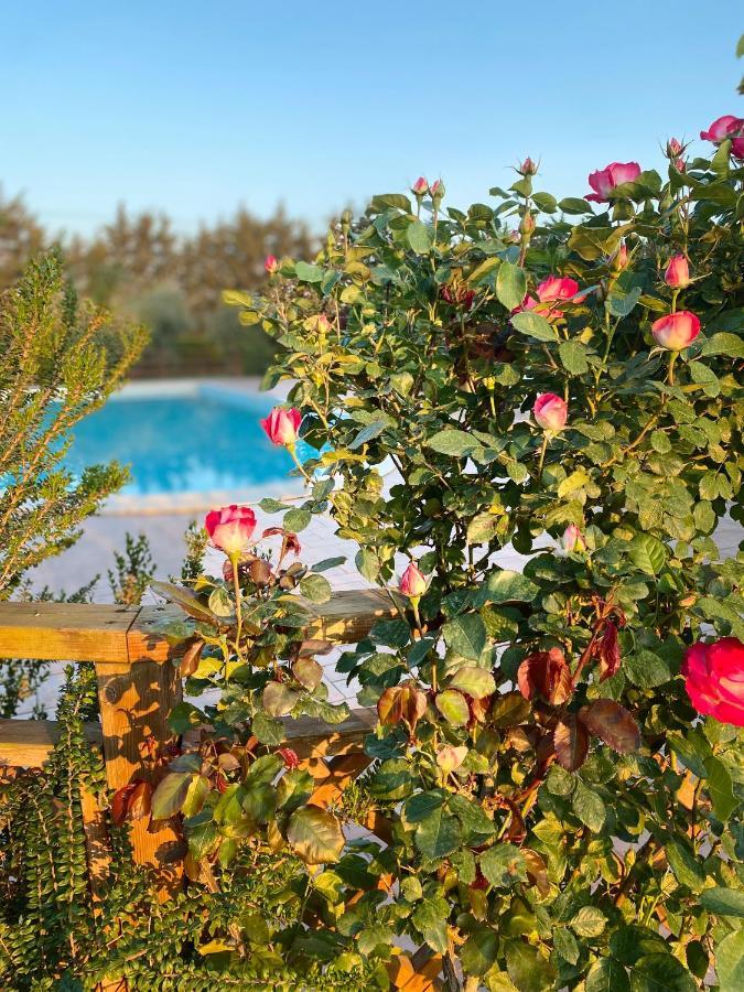 Agriturismo Le Giare Bagno Roselle Exterior photo